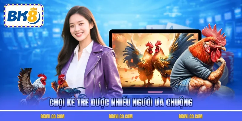 Chọi kê tre được nhiều người ưa chuộng