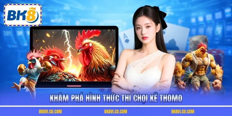 Khám phá hình thức thi chọi kê Thomo